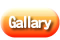 Gallary