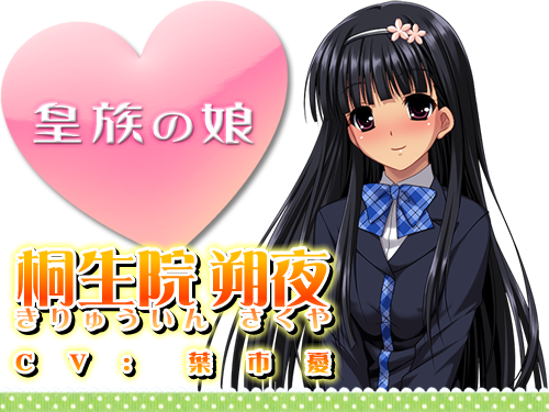 高貴なお嬢様を片っ端から孕ませたら、どうなるか？：登場人物2