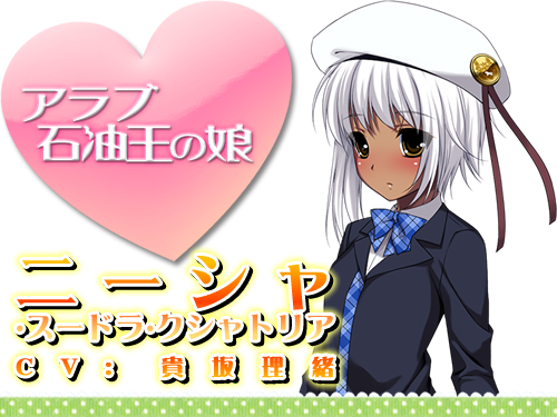 高貴なお嬢様を片っ端から孕ませたら、どうなるか？：登場人物3