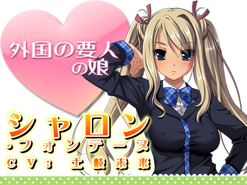 高貴なお嬢様を片っ端から孕ませたら、どうなるか？：登場人物4