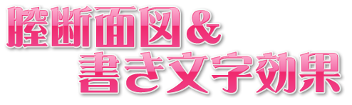 高貴なお嬢様を片っ端から孕ませたら、どうなるか？：システム2