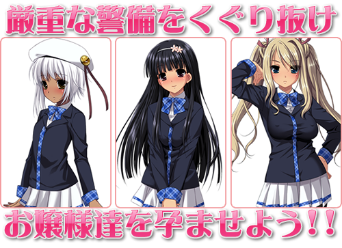 高貴なお嬢様を片っ端から孕ませたら、どうなるか？：システム5