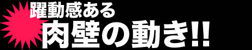 セックス注毒 〜あの娘が性奴になるまで〜：システム2