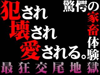 M-days ～慟哭の交尾地獄～ ｜ ケータイ動画館Android アンドロイドスマートフォン専用アプリ