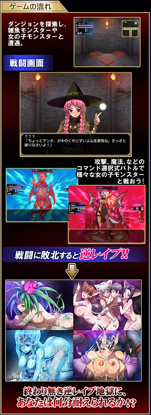 犯され勇者～凛々しく世界を救うハズだったボク…～：ポイント画像