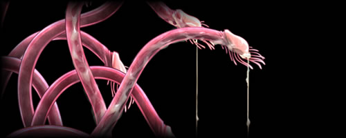 征触者 〜墜ちゆく討魔の学園〜：あらすじ3