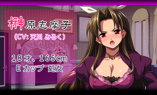 精液大量注入!5~オレの高飛車な美少女ご主人様がこんなに盛大にアヘるわけがない!?~:登場人物2