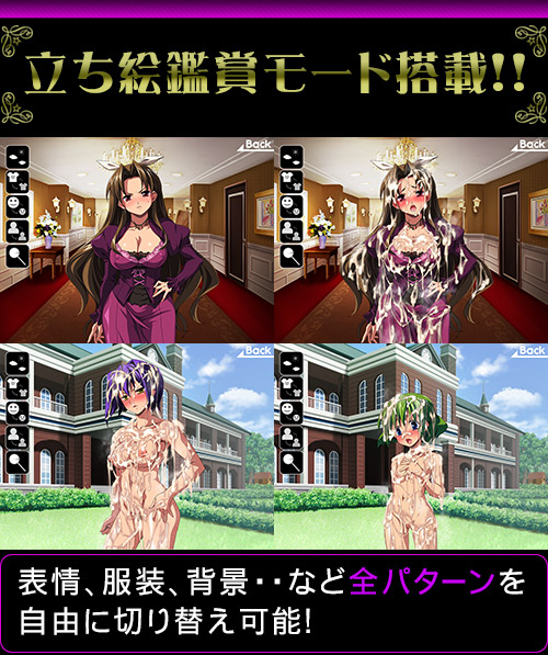 精液大量注入!5~オレの高飛車な美少女ご主人様がこんなに盛大にアヘるわけがない!?~:システム2