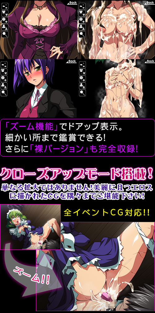 精液大量注入!5~オレの高飛車な美少女ご主人様がこんなに盛大にアヘるわけがない!?~:システム3