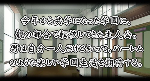 つかまったら即、逆レイプ学園 ～死に物狂いで俺を犯しにくるオンナたち～：story画像